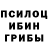 Псилоцибиновые грибы мухоморы Suhaylo Khotamshoeva