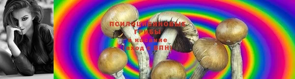 мескалин Лиски