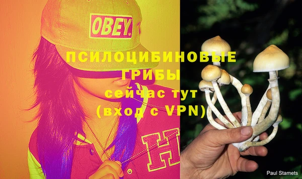 альфа пвп Липки